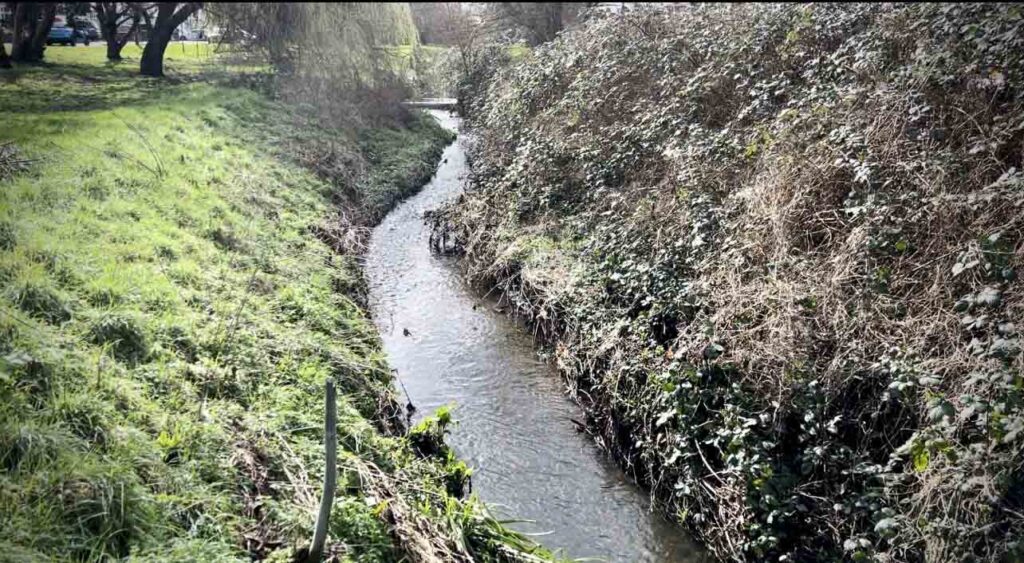 Urgent Action Needed to Stop Sewage Overflow into Hogsmill River & Green Lanes Stream